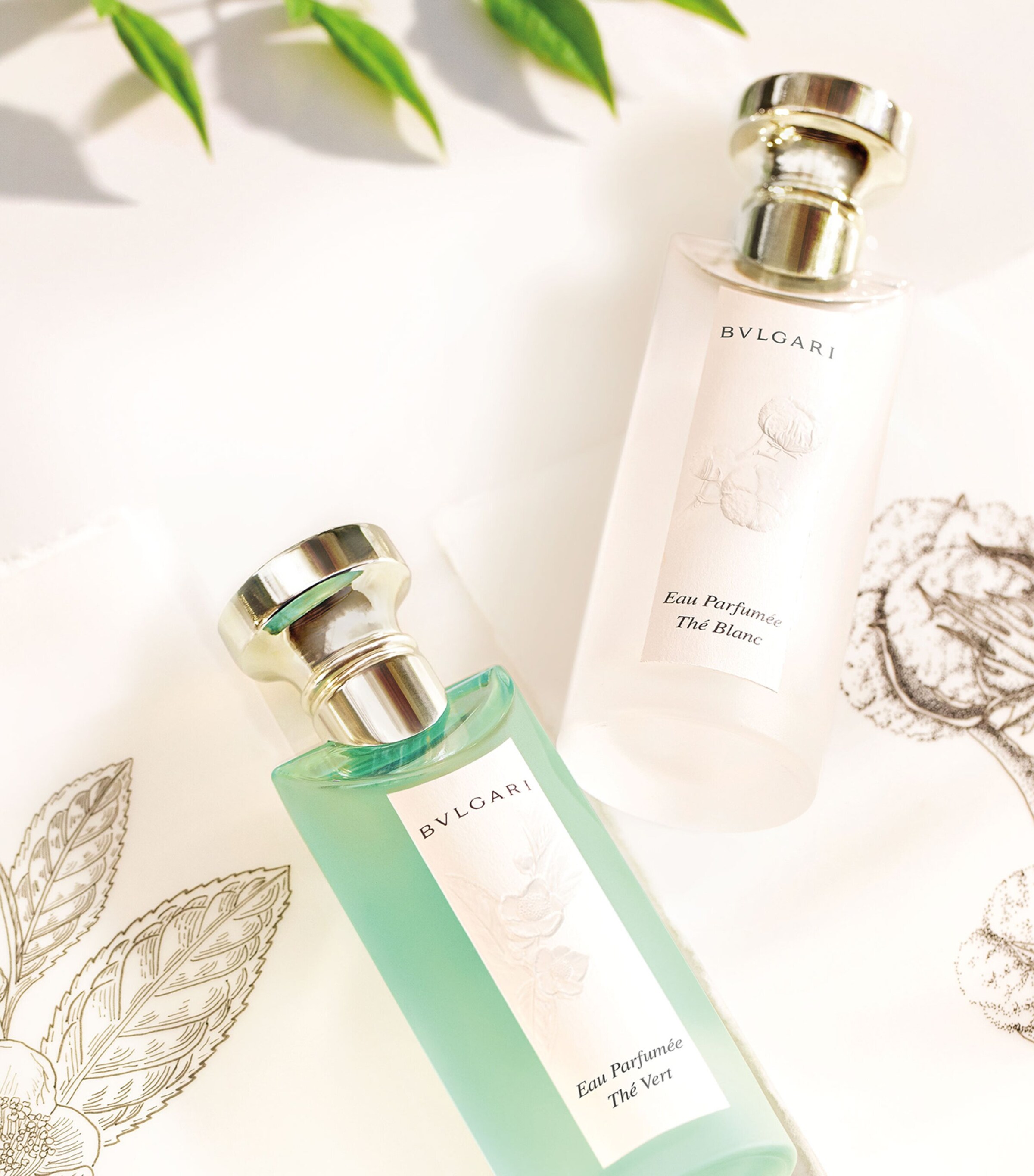 Eau Parfumée Thé Blanc Eau de Toilette (75ml) NO COLOUR Image 6