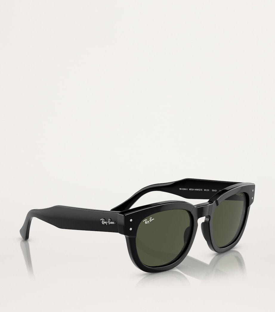 Propionate Mega Hawkeye Sunglasses 901/31 Image 6
