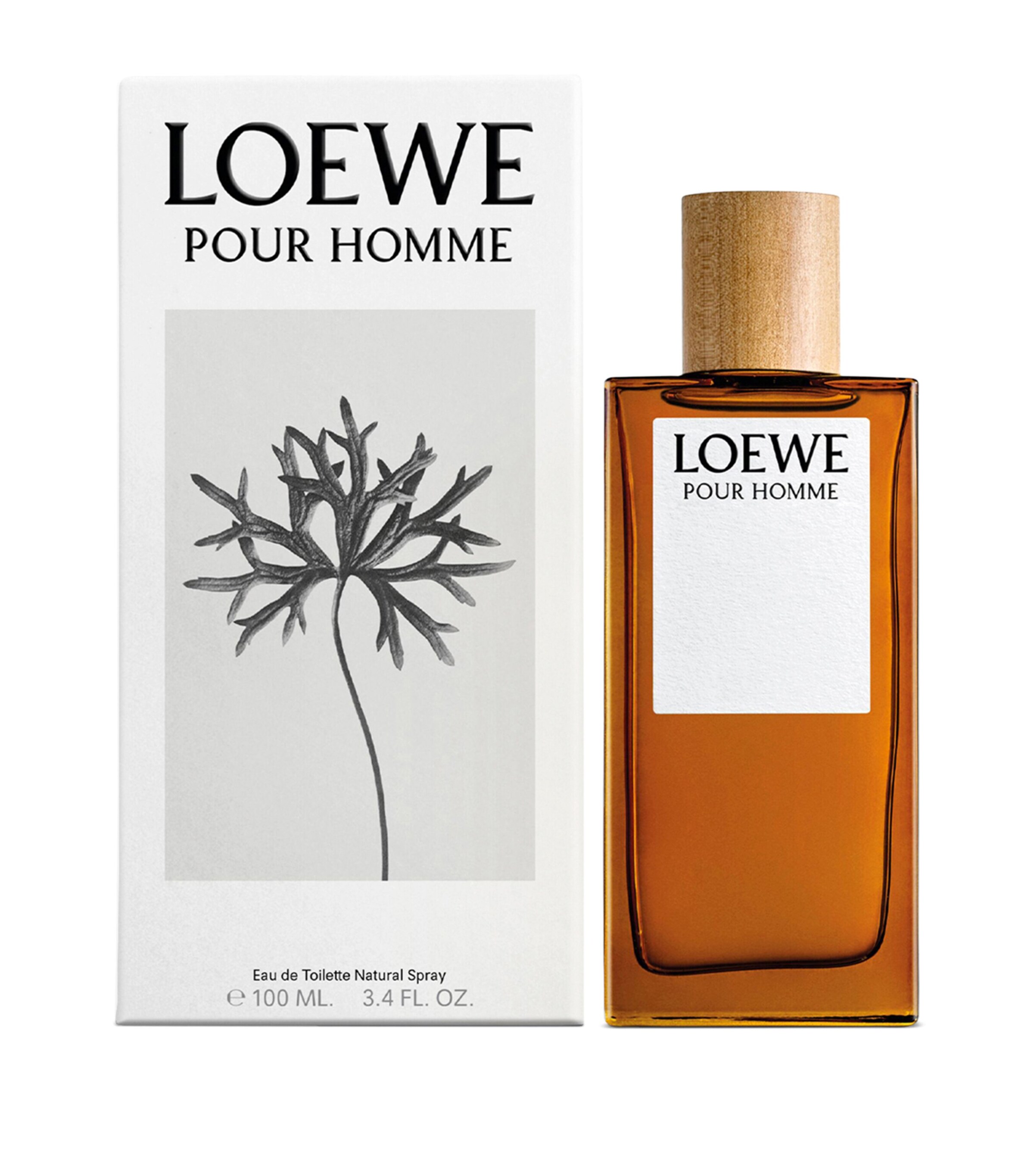 LOEWE Perfume Pour Homme Eau de Toilette (100ml) Image 2