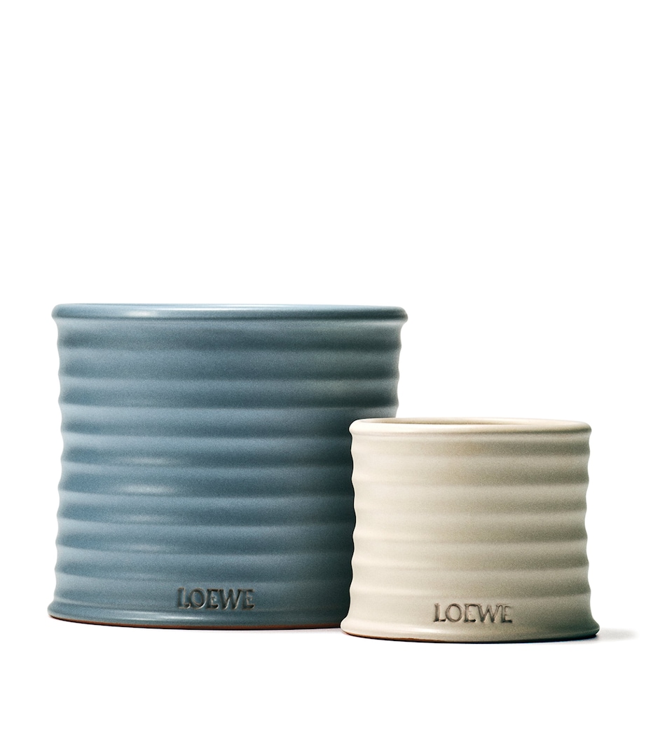 Medium Cypress Balls Scented Candle NO COLOUR Image 4