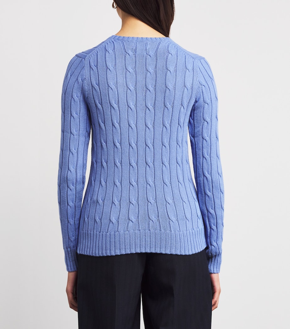 Pima Cotton V-Neck Julianna Sweater NEW LITCHFIELD BLUE Image 4