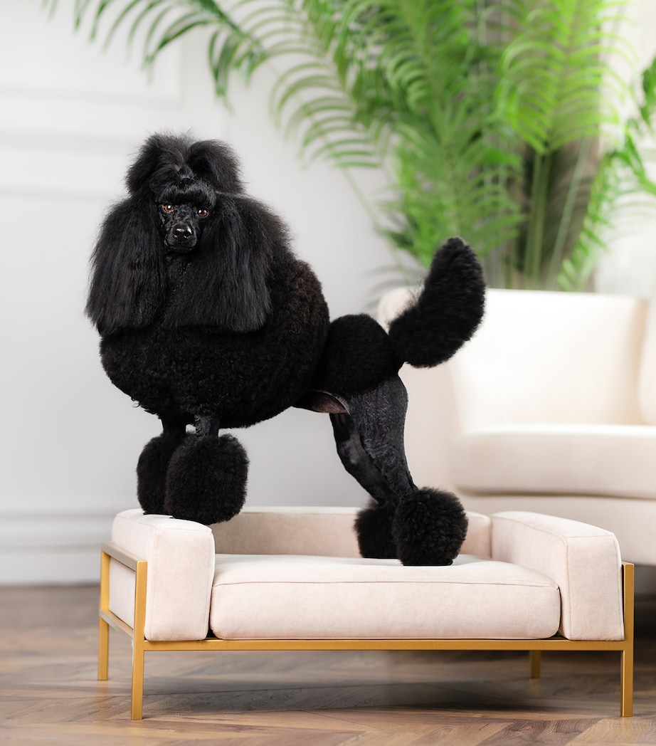 Small Kensington Dog Sofa BEIGE+GOLD Image 5