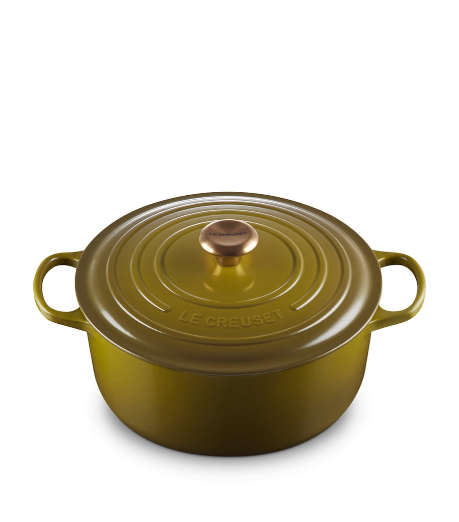 Enamelled Cast Iron Round Casserole Dish (28cm) OLIVE Image 1