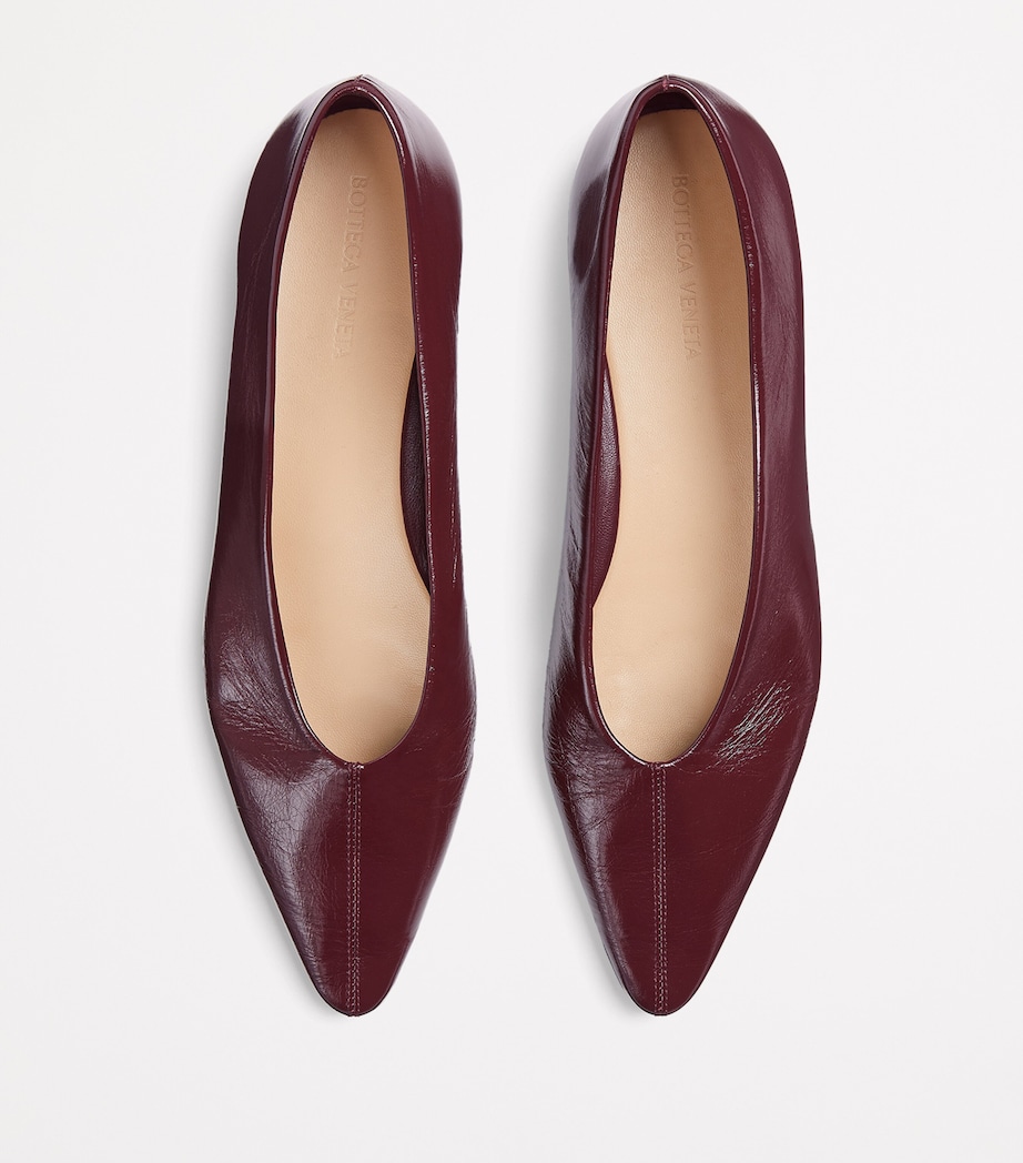 Sofia Ballet Flats 2240 Image 5