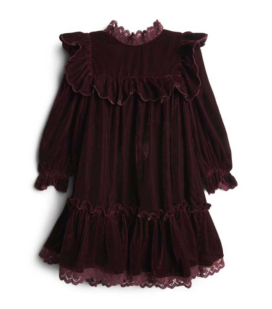 PETITE AMALIE Velvet Lace-Trim Dress (4-16 Years) Dark Cherry Image 1