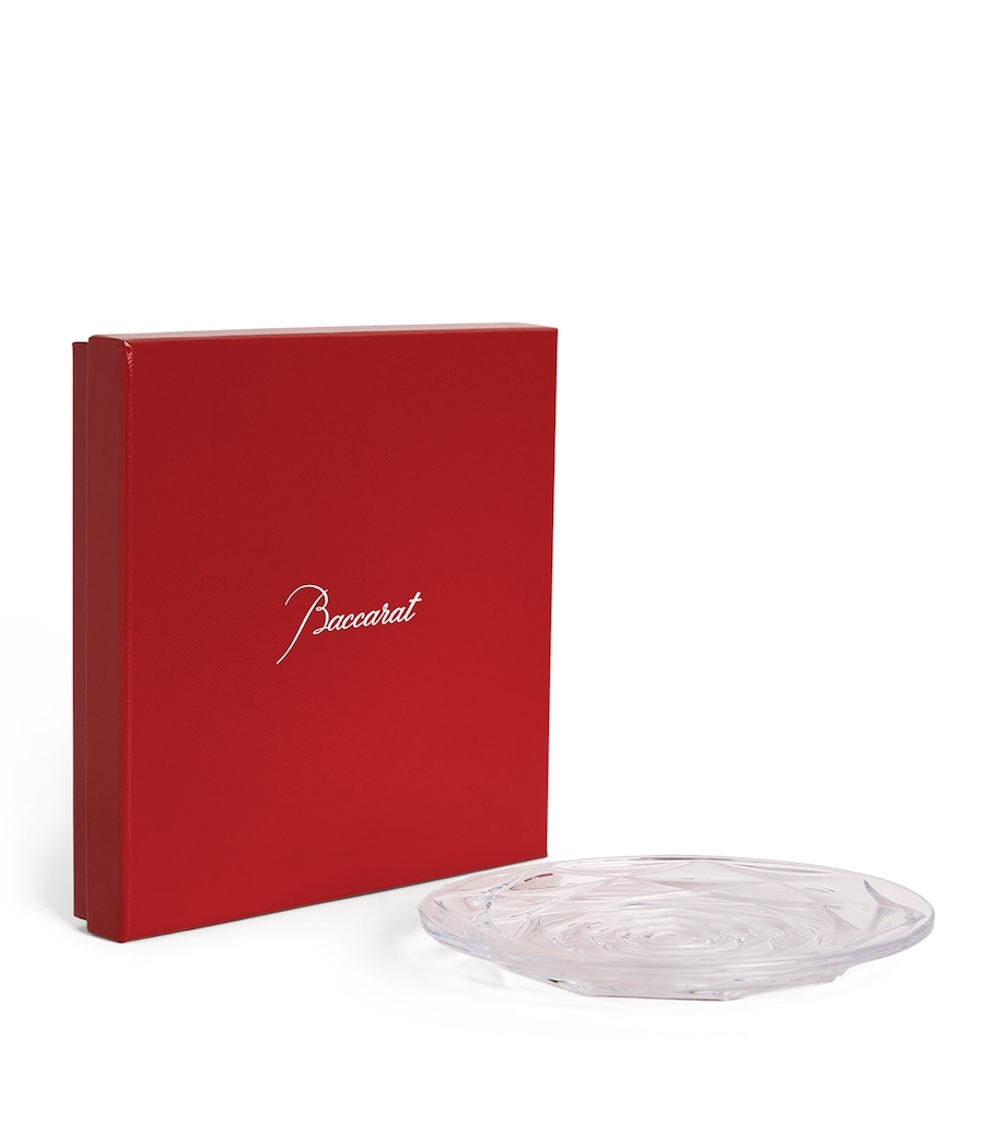 Swing Plate (13cm) CLEAR Image 1