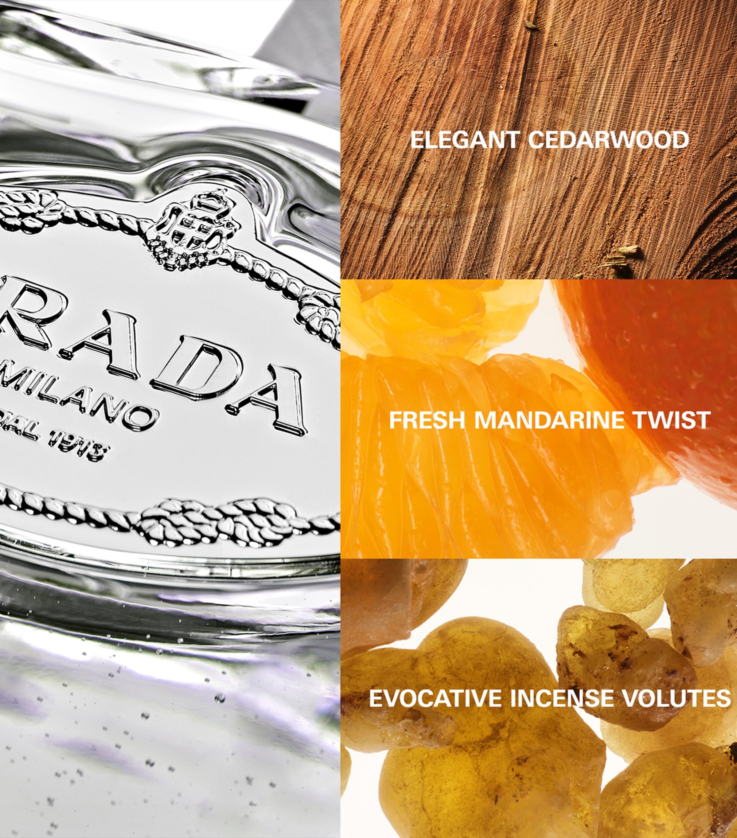 Infusion d'Iris Cèdre Eau de Parfum (100ml) NO COLOUR Image 3