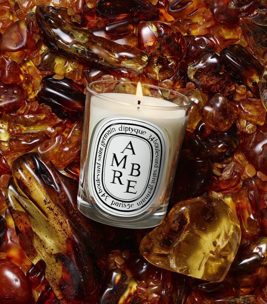 Diptyque Ambre Candle (190g) Image 3