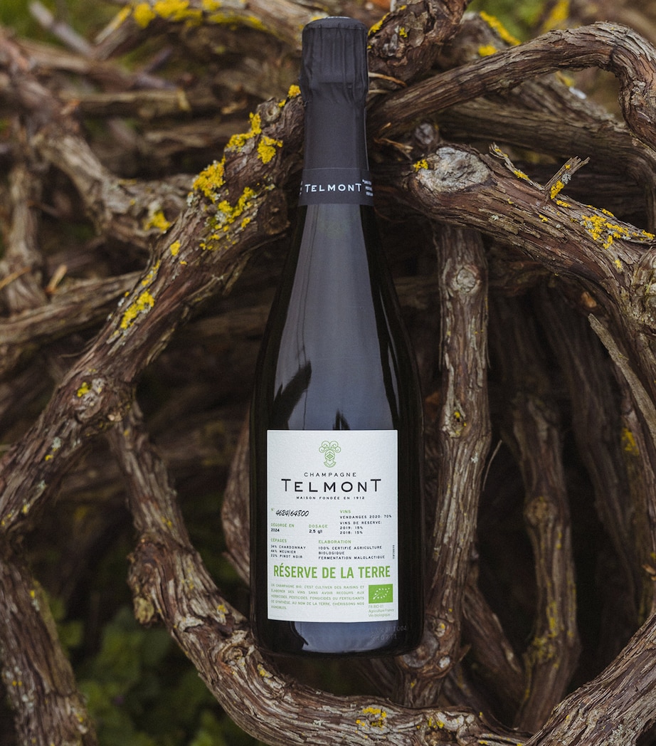 Telmont Reserve De La Terre Organic Champagne (75cl) – Champagne, France NO COLOUR Image 2