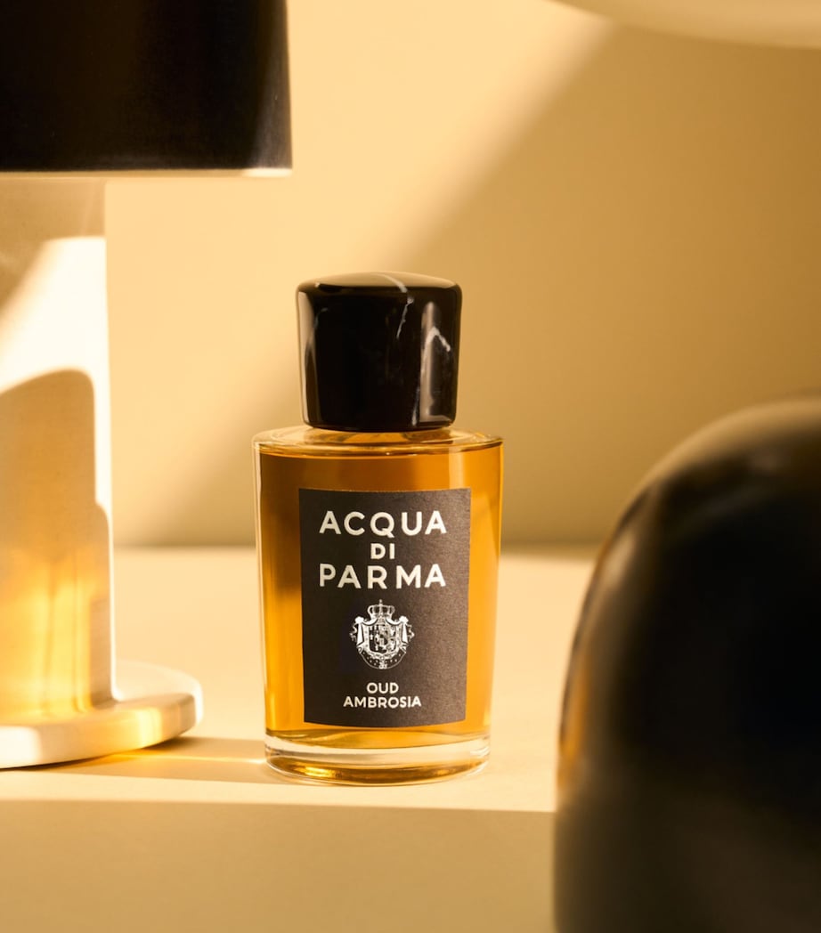Acqua di Parma Oud Ambrosia Eau de Parfum (50ml) Image 5