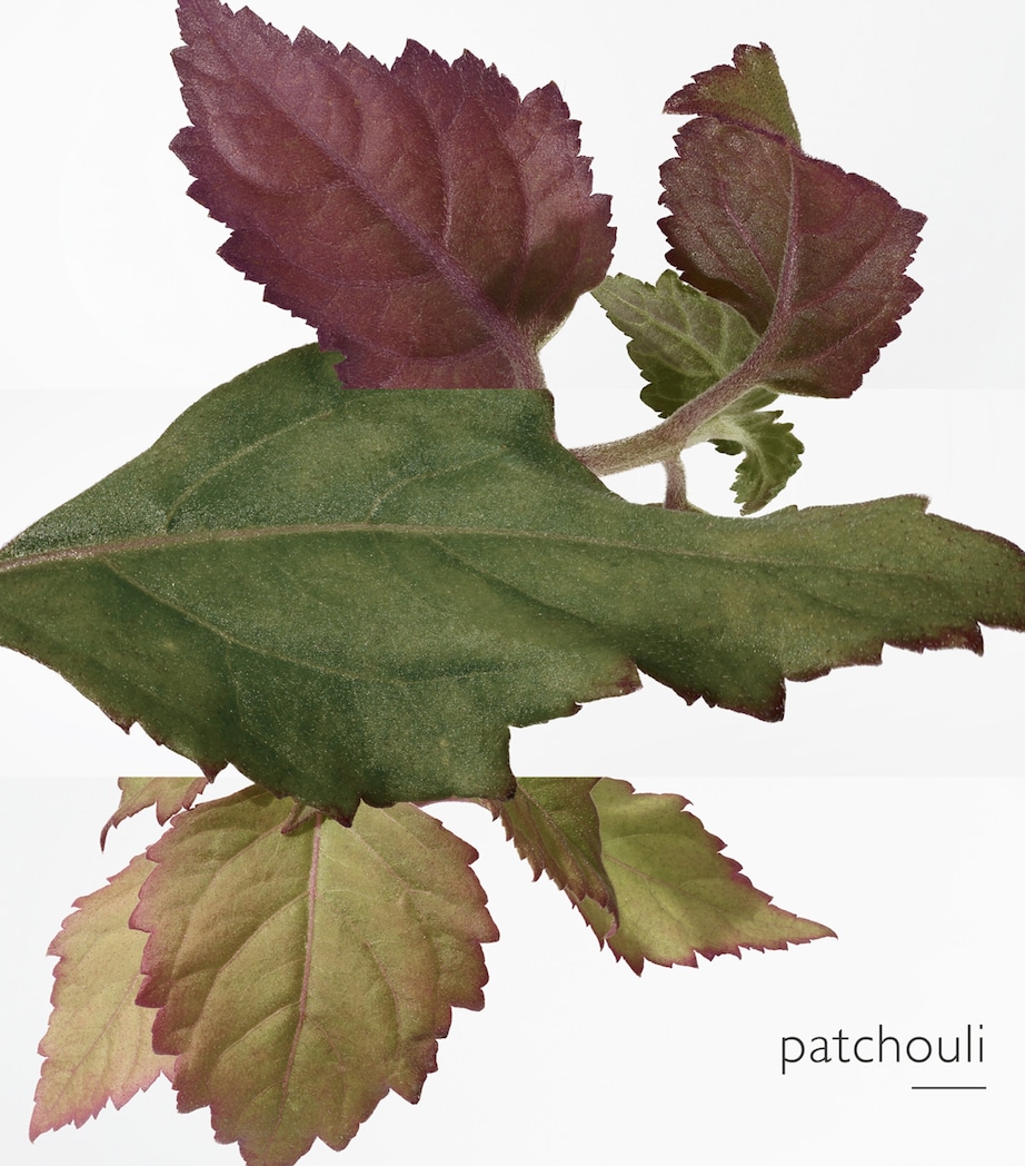 L'Ambre des Merveilles Eau de Parfum (100 ml) NO COLOUR Image 4