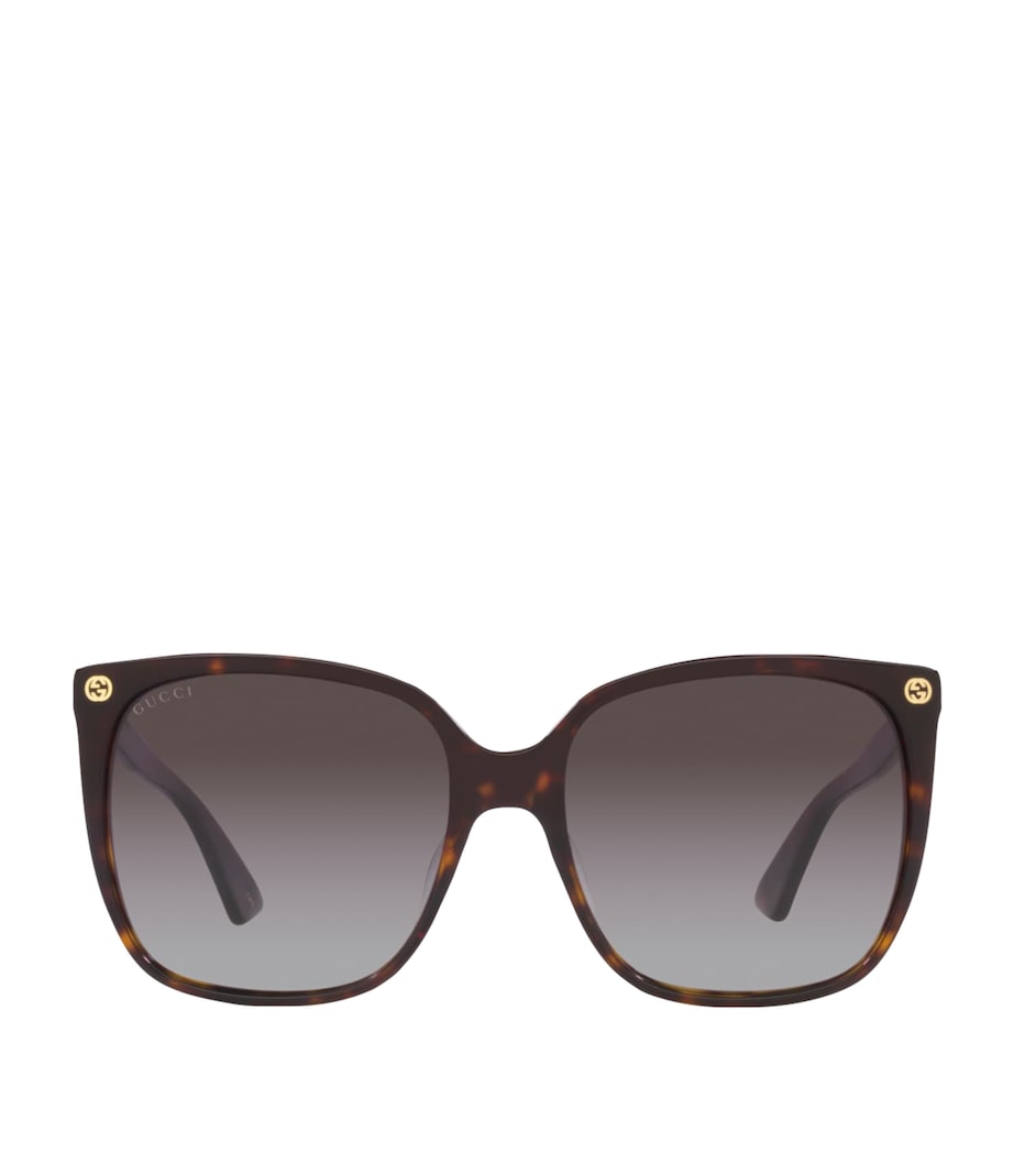 Acetate Square Sunglasses 4402D4 Image 1