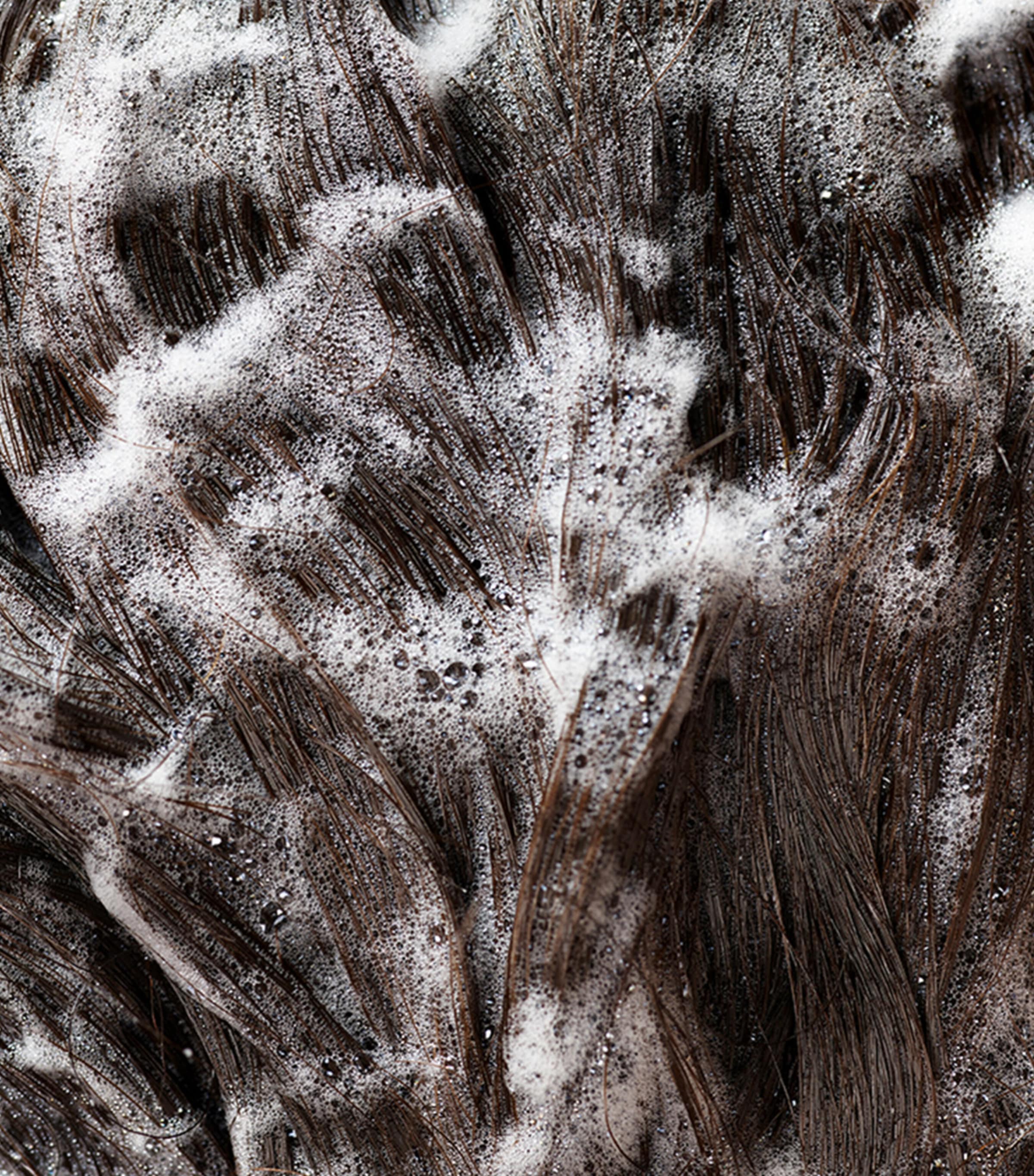 Oribe Signature Shampoo (1L) Image 3