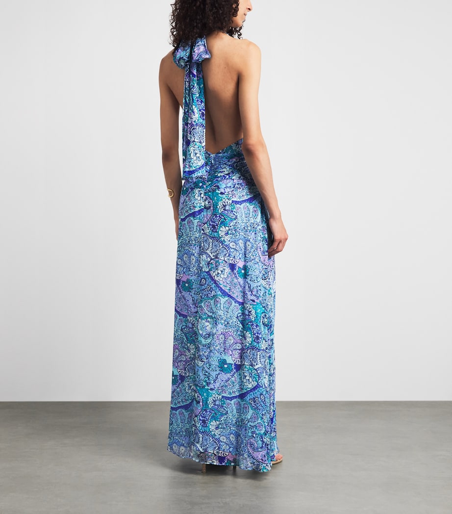 Rixo Womens Chiffon Alaina Maxi Dress Paisley Floral Blue Image 4