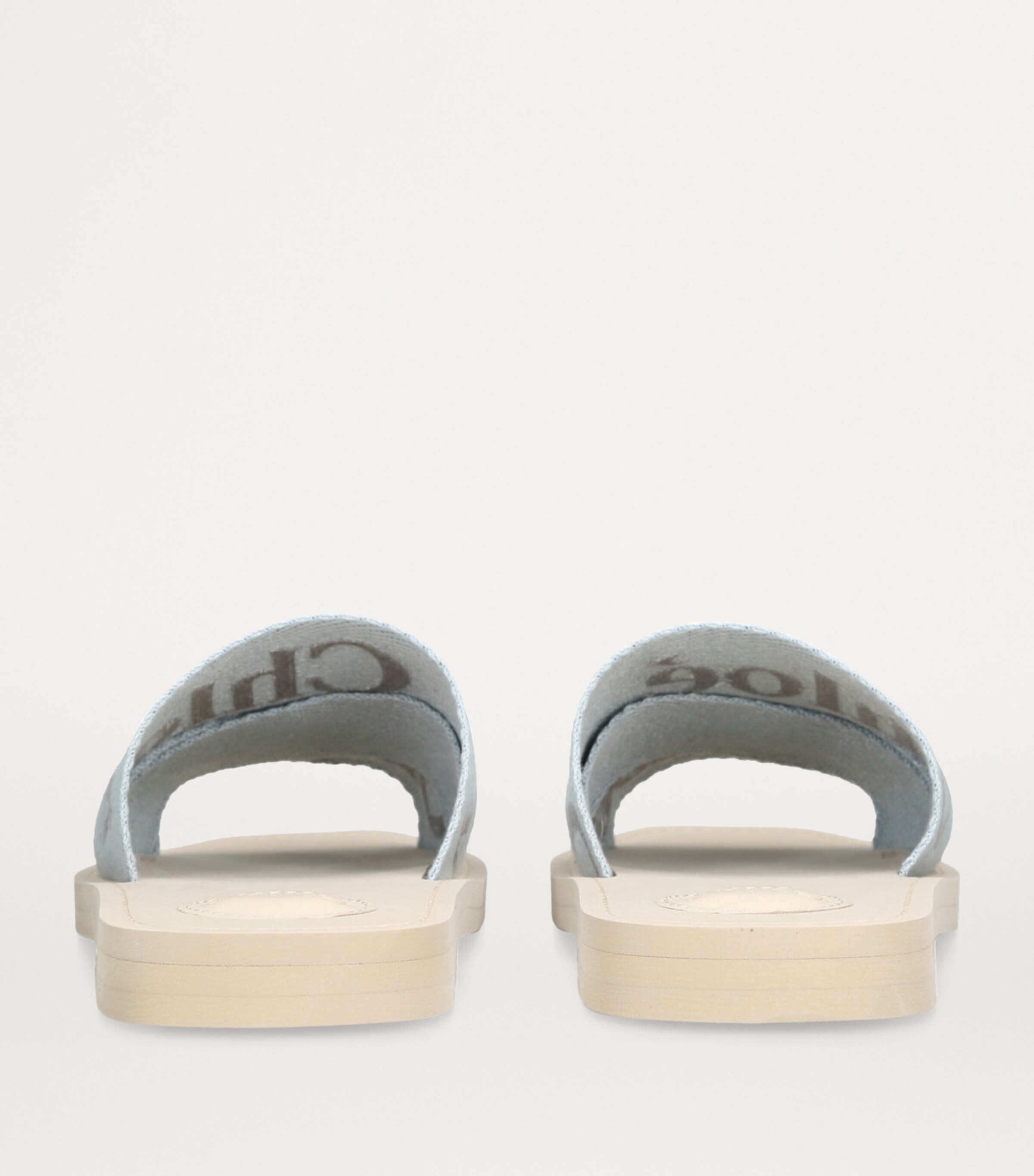 Logo Woody Slides BLUE Image 3