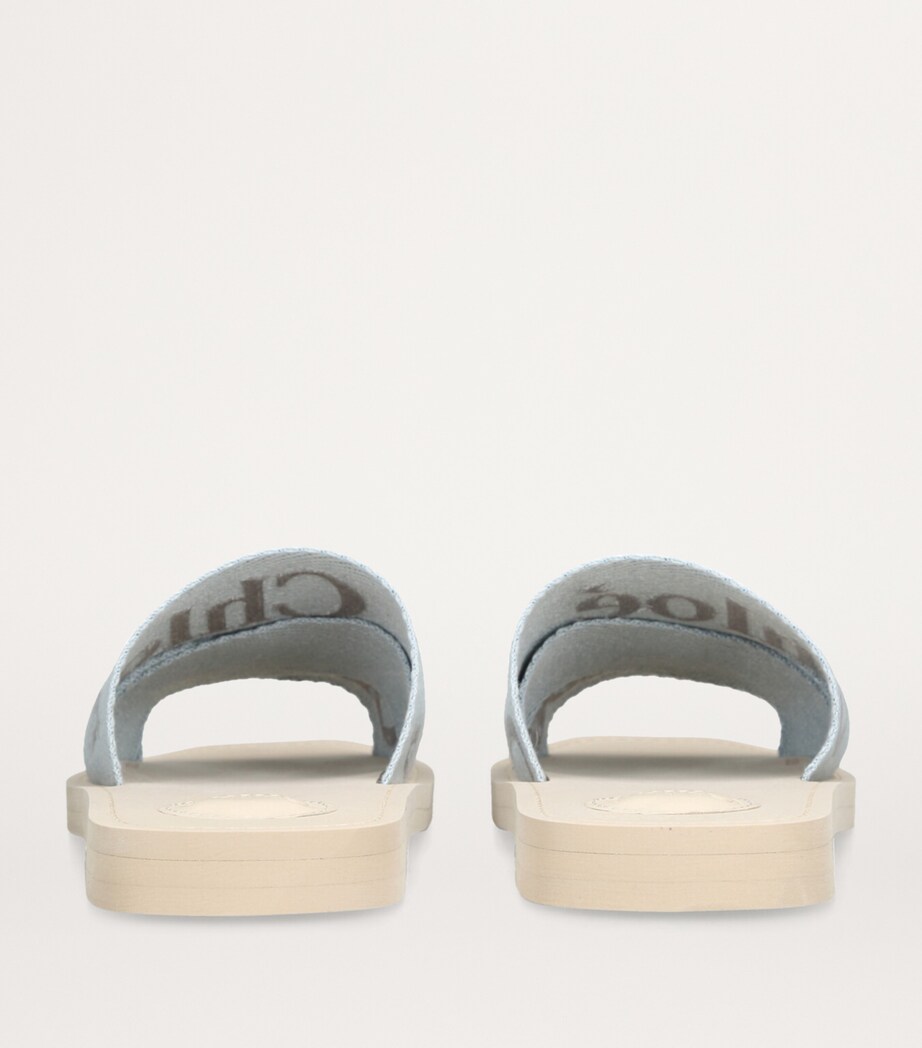 Logo Woody Slides BLUE Image 3