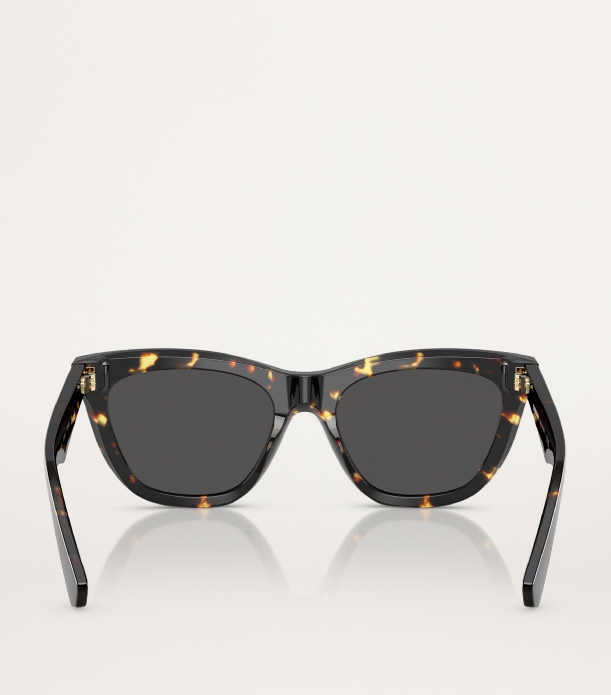 Acetate Wayfarer Sunglasses 410687 Image 4