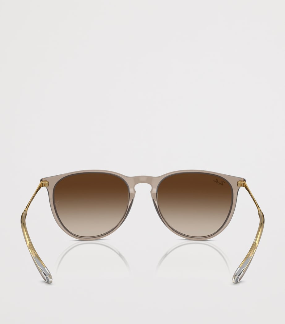 Ray-Ban Erika Classic Phantos Sunglasses Brown Image 4