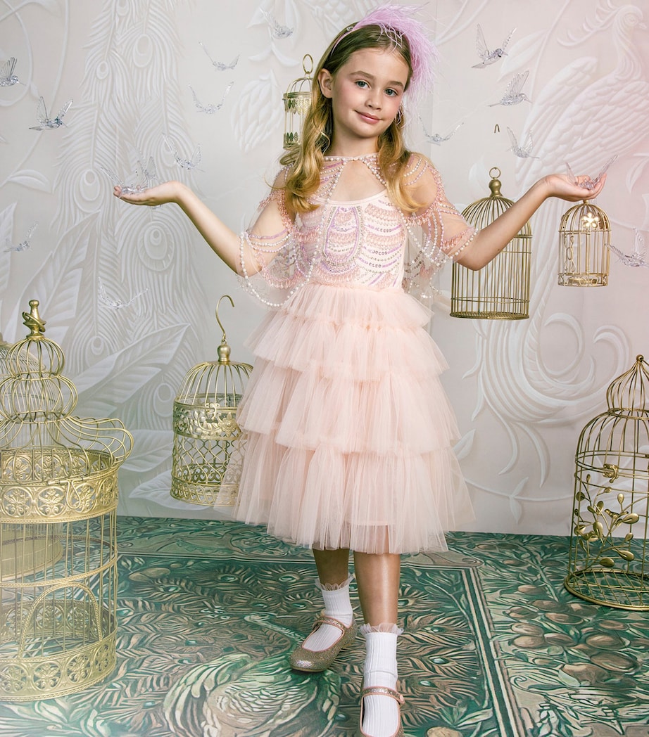 tutu du monde pink dress Tutu du Monde Girls Pink Tulle Sleeping Beauty Disney Dress
