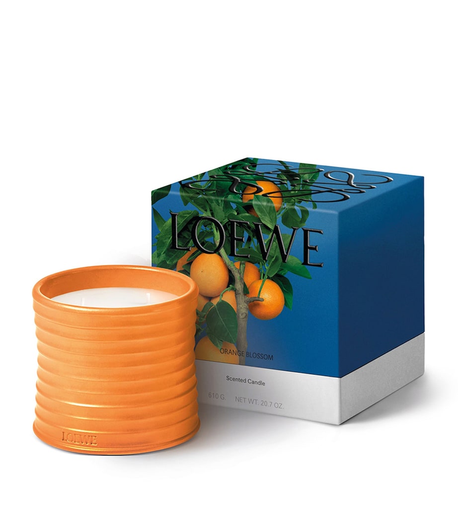 Medium Orange Blossom Candle (1.5kg) NO COLOUR Image 2