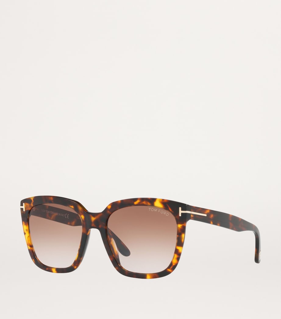 Rounded Square Sunglasses 52F Image 2