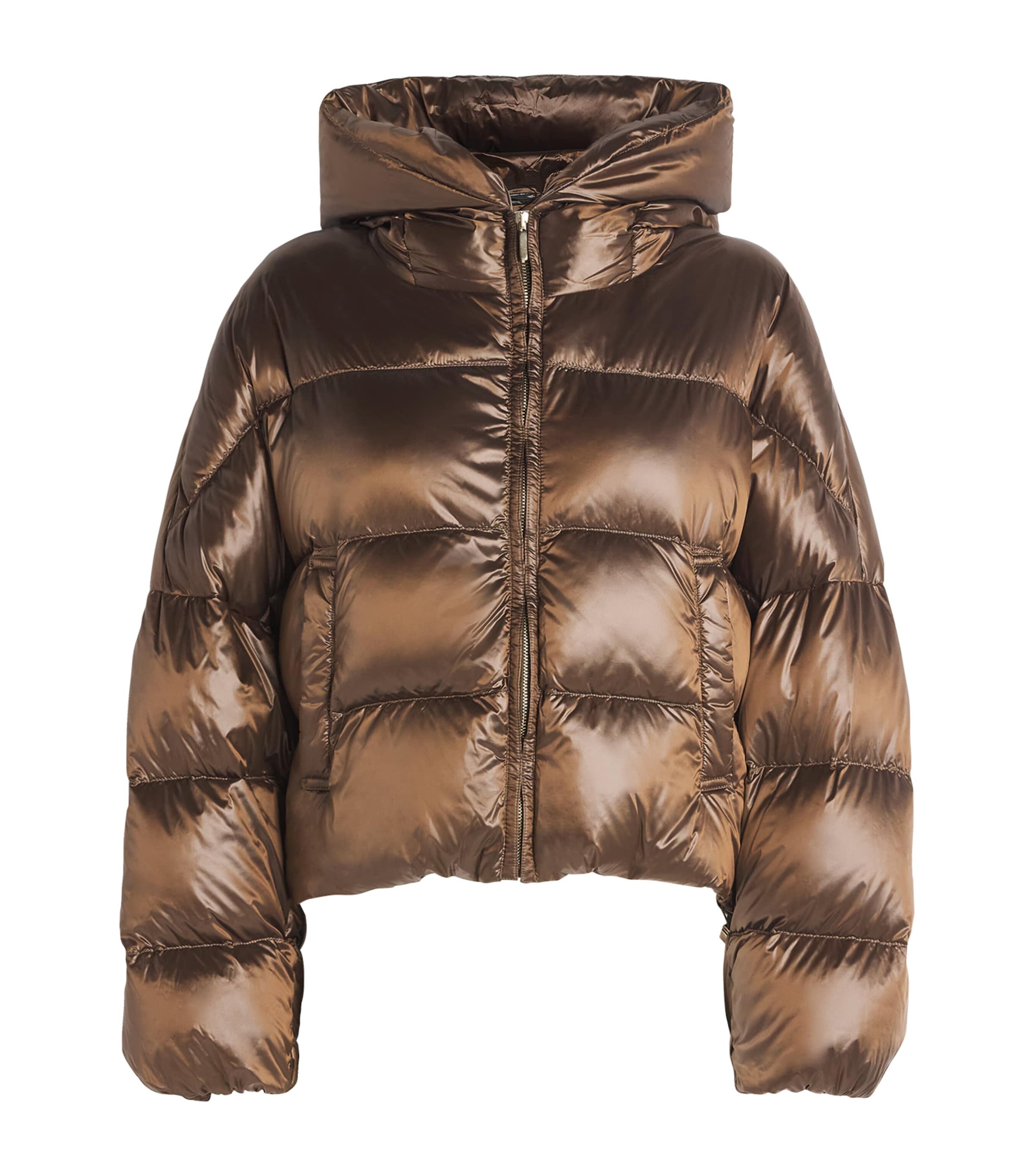 Max Mara Spaceca Hooded Nylon Down Jacket In Brown