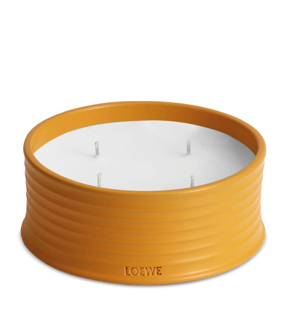 Ginger Outdoor Candle