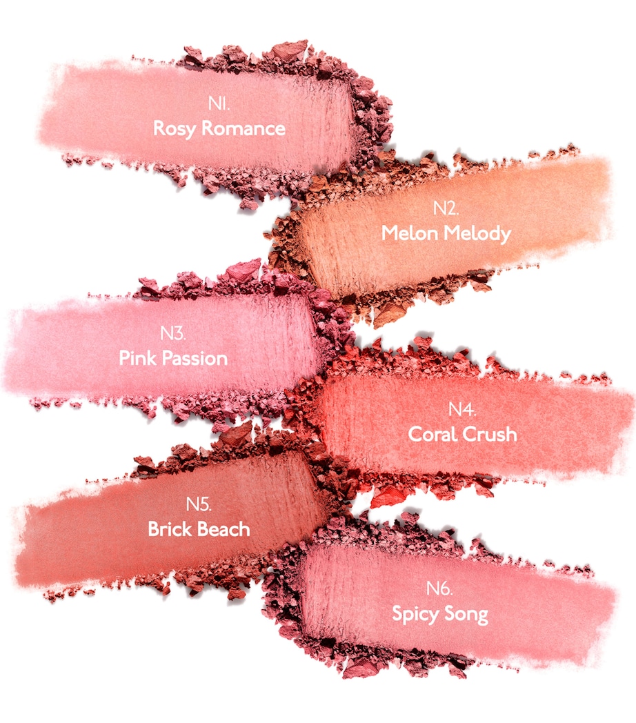 Tea to Tan Blush Powder N2 Image 5