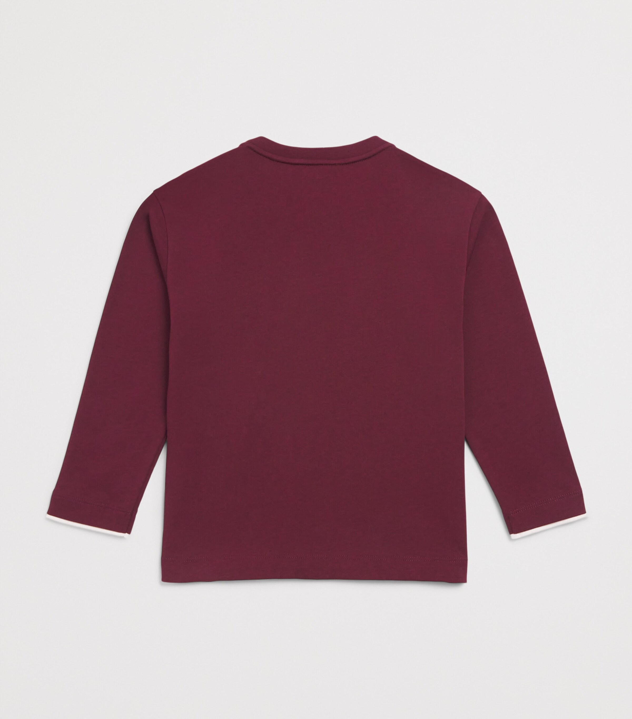 Emporio Armani Kids Embroidered Long-Sleeve T-Shirt (4-16 Years) Maroon Banner Image 2