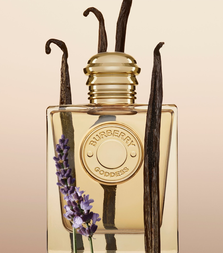 Goddess Eau de Parfum (100ml) NO COLOUR Image 3