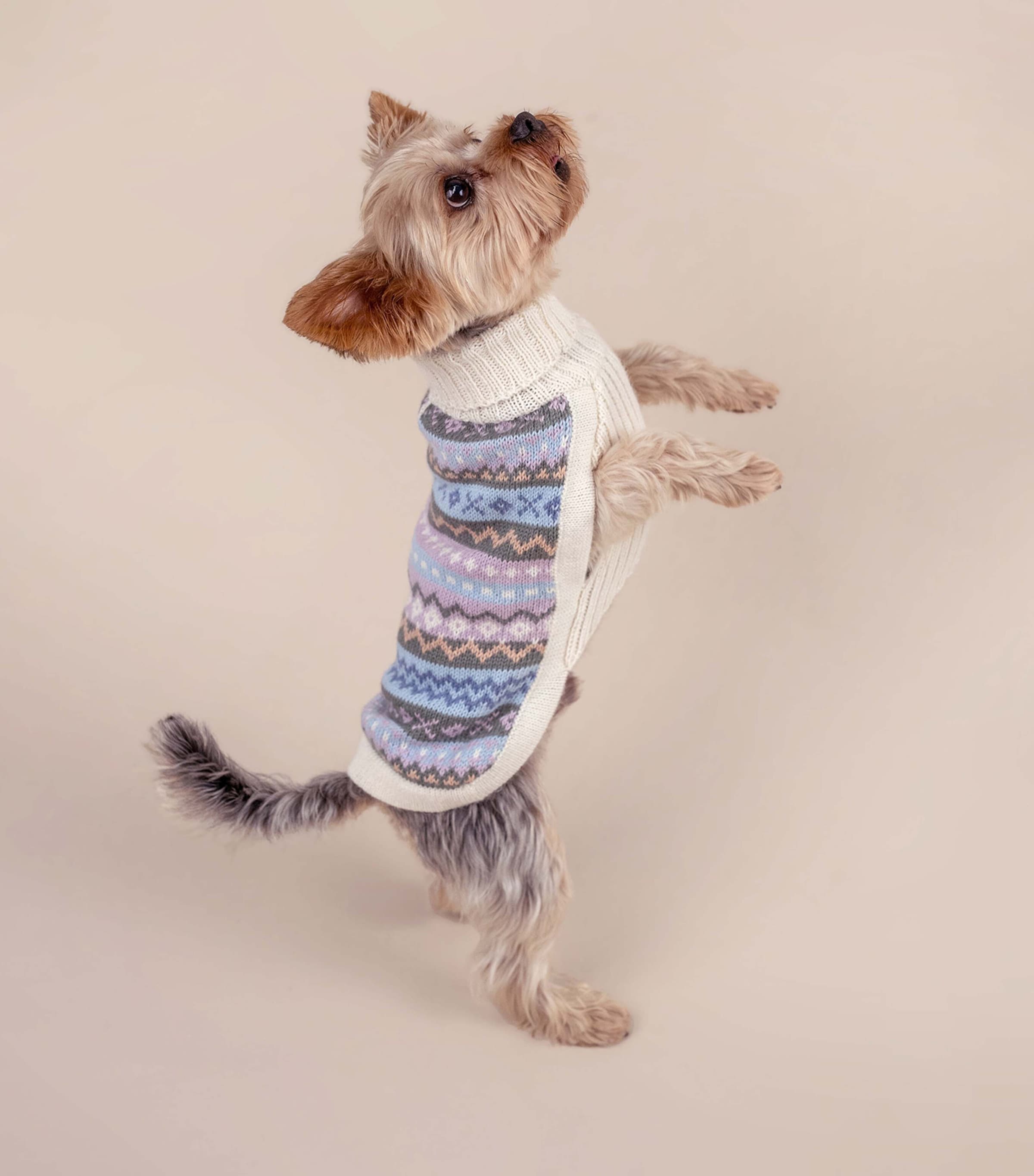 ALQO WASI Alpaca-Blend Cloudform Dog Sweater (XX-Small) Cloudform Image 5