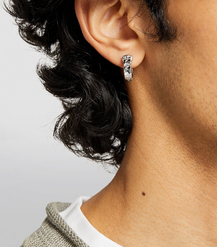 Bobby Hoop Earrings P019 PLATINUM Image 2