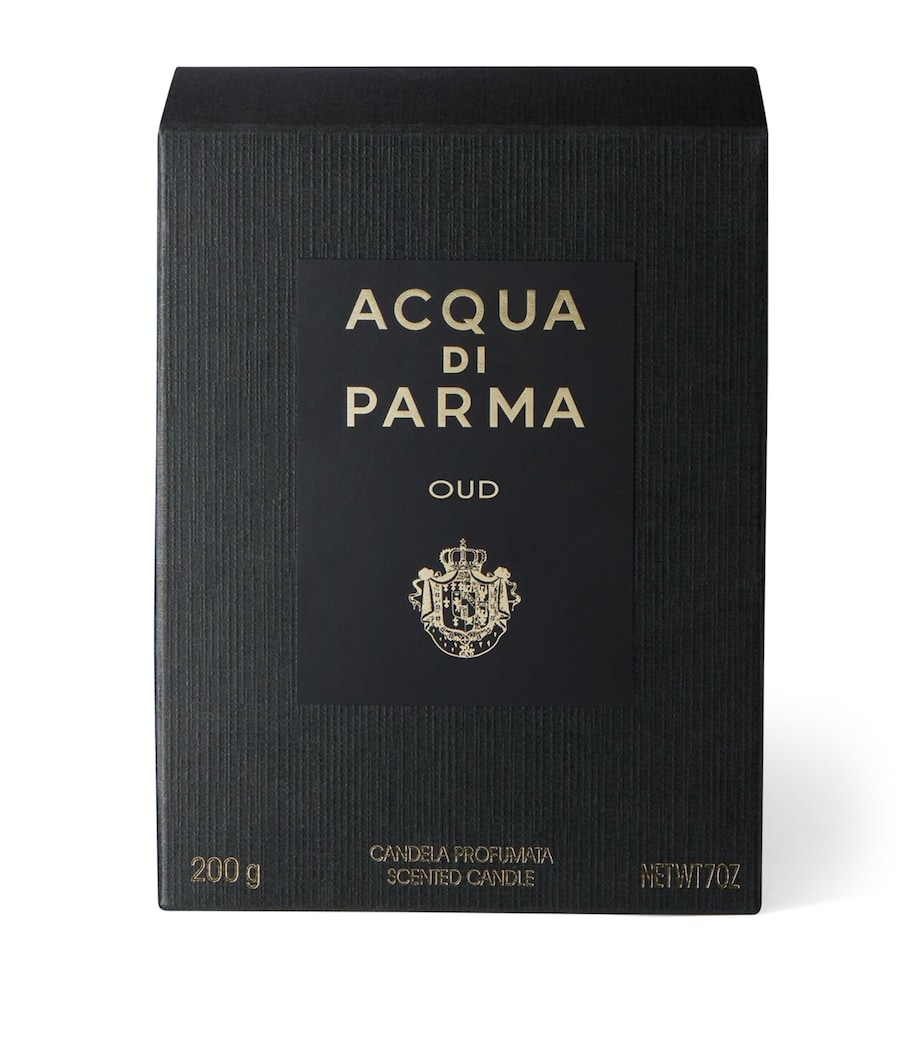 Signatures of the Sun Oud Candle (200g) NO COLOUR Image 3