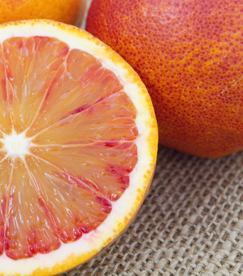 Rose Saltifolia Eau de Parfum (100ml) NO COLOUR Image 6