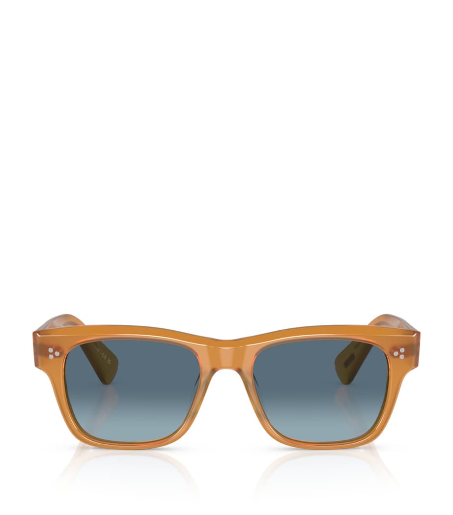 Oliver Peoples Acetate Birell Sun Sunglasses Image 1