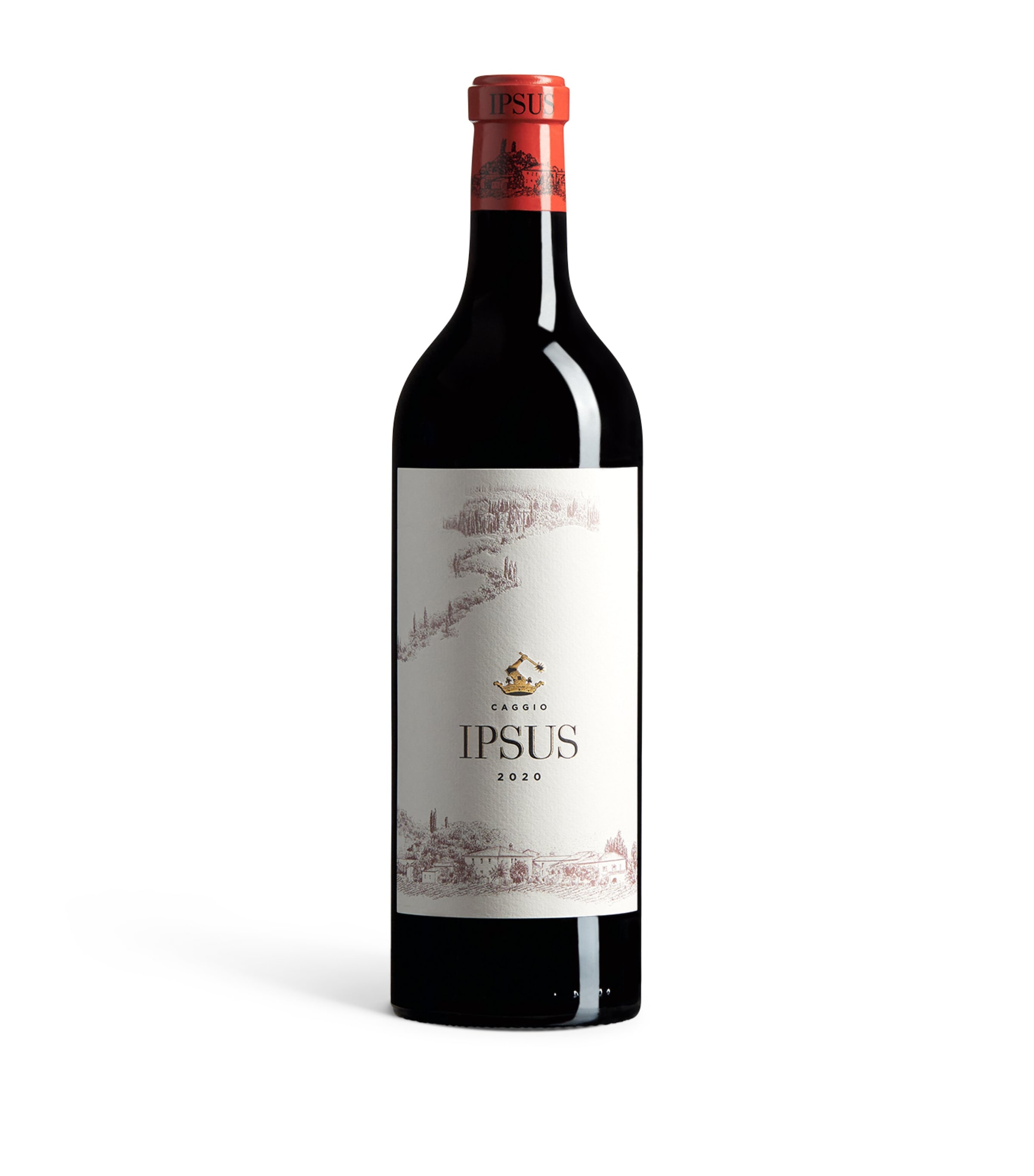 Il Caggio Caggio Ipsus Chianti Classico Gran Selezione 2020 (75cl) - Tuscany, Italy Image 1