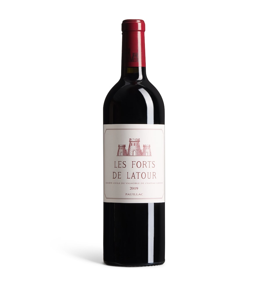 Château Latour Fortes de Latour 2019 (75cl) - Bordeaux, France Image 1