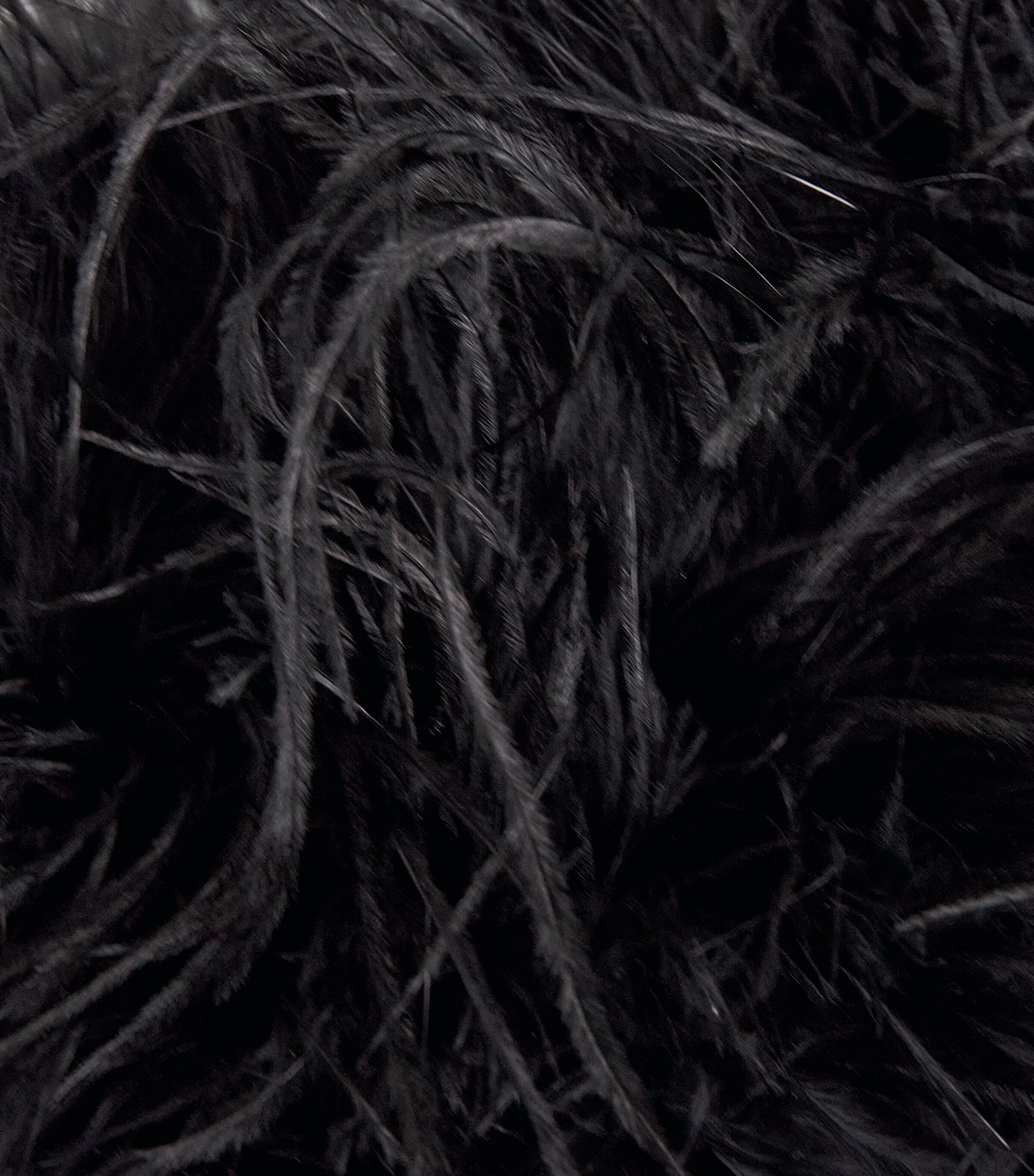 Yves Salomon Leather-Ostrich Feather Cross-Body Bag Image 6