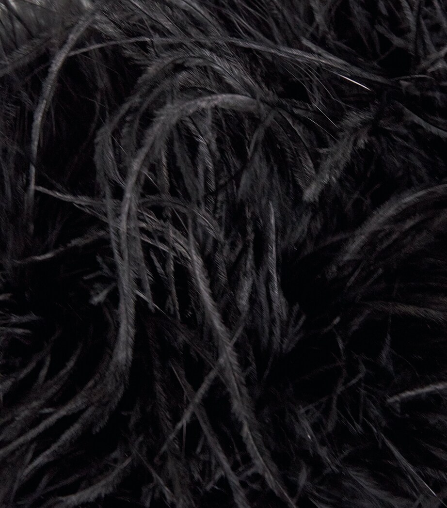 Yves Salomon Leather-Ostrich Feather Cross-Body Bag Image 6