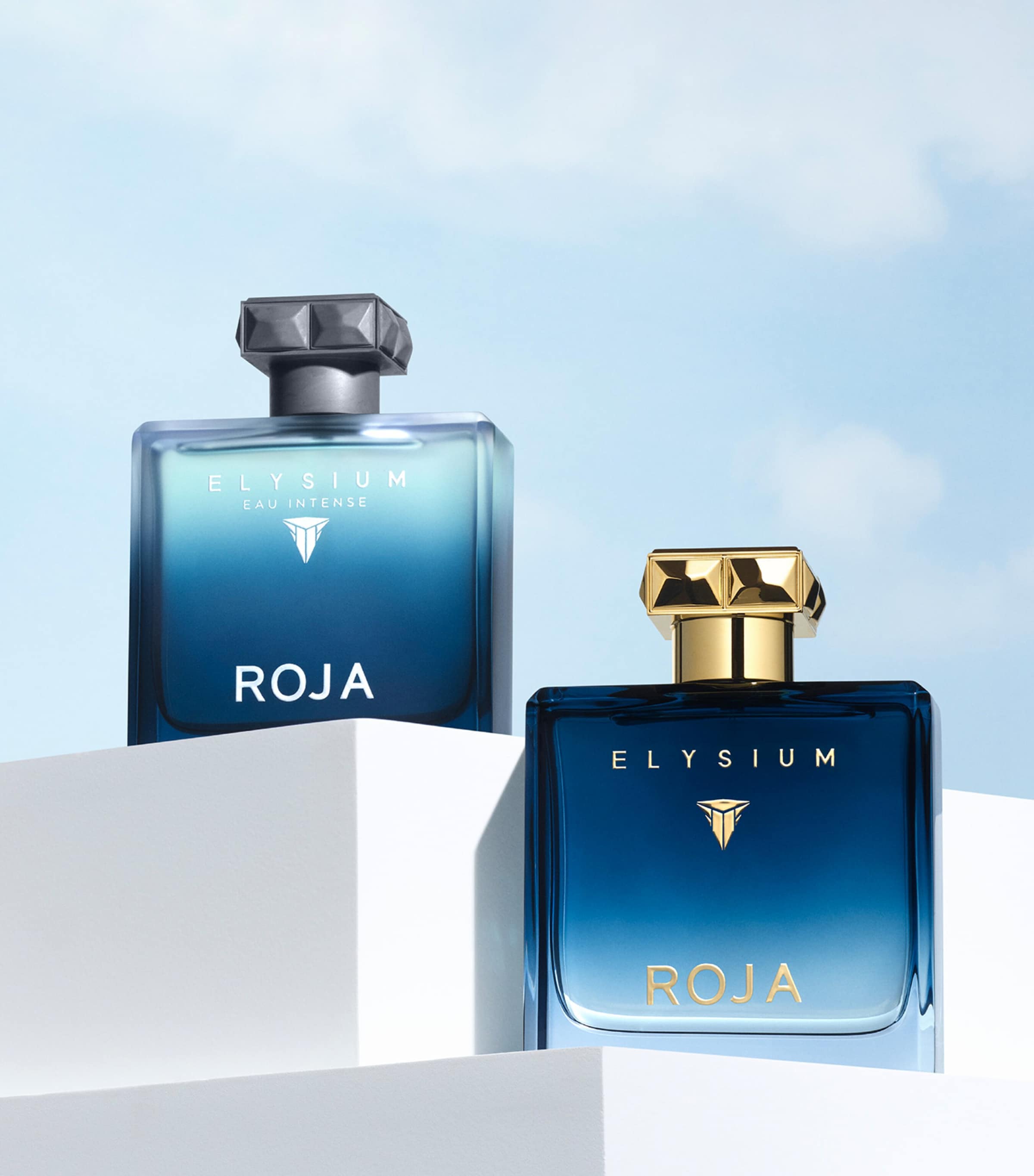 Roja Elysium Eau Intense Eau de Parfum (100ml) | Harrods US