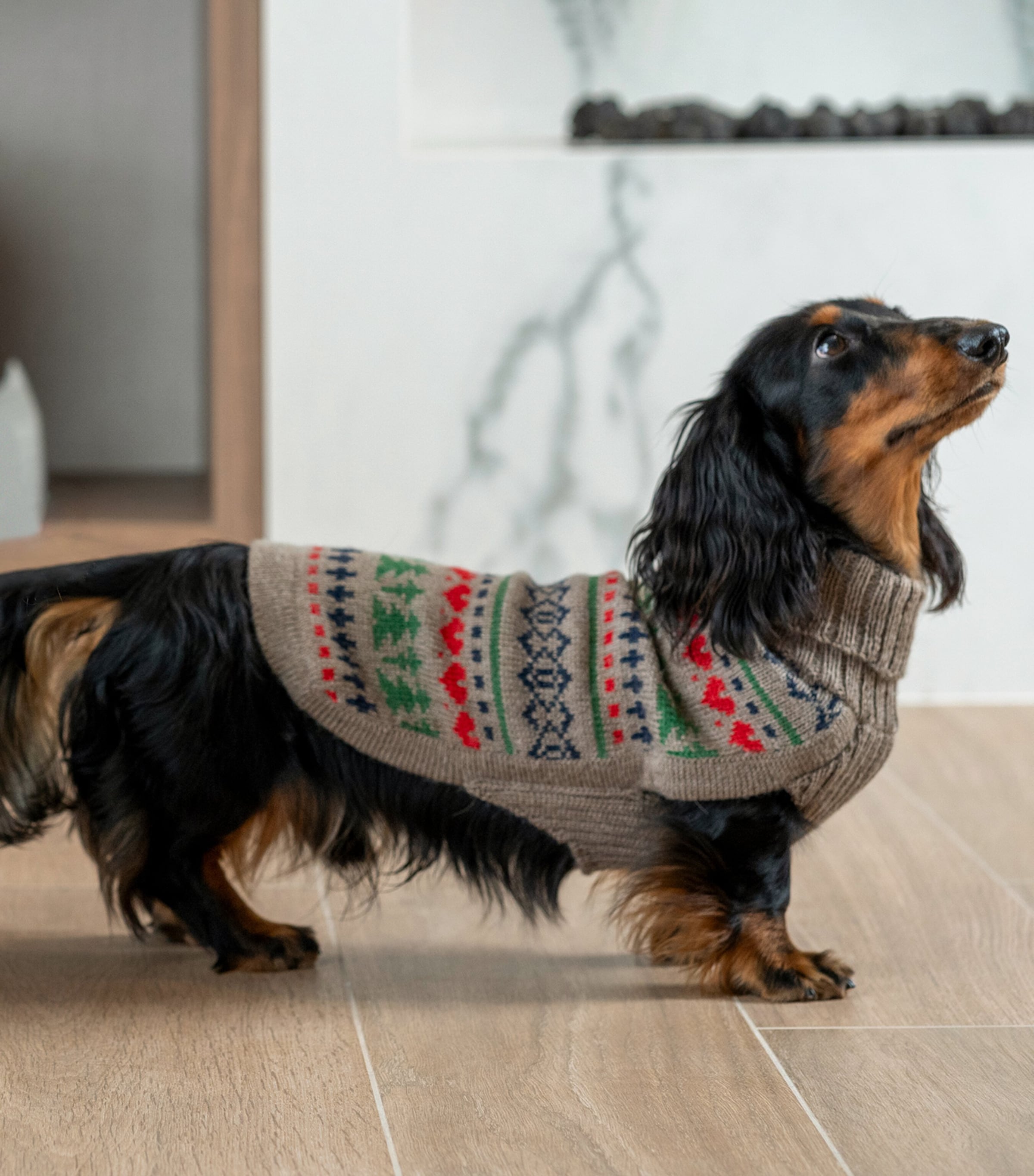 ALQO WASI Neutral Alpaca-Blend Dog Sweater (Extra Extra Small