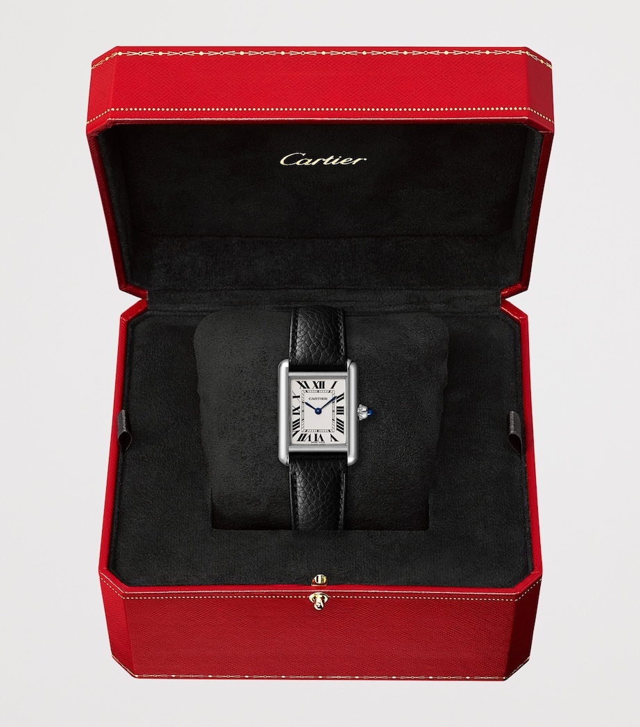 Small Steel Tank Must Watch 22mm STEEL Image 2