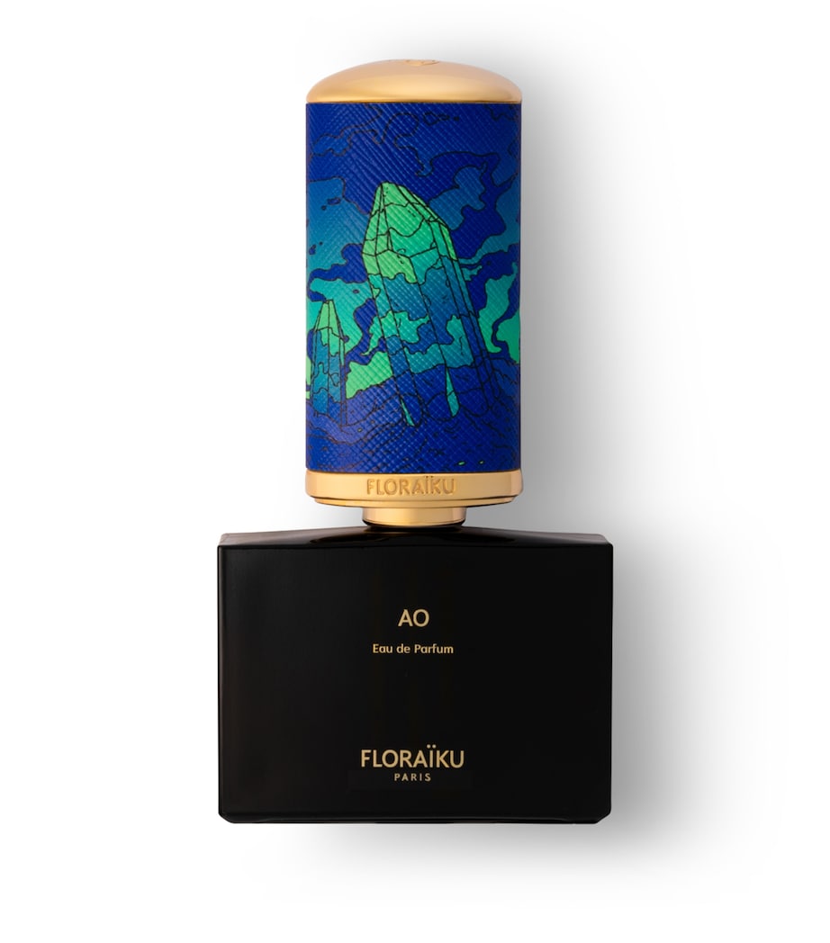 AO Eau de Parfum Bento Box (50ml with 10ml Refill) NO COLOUR Image 1