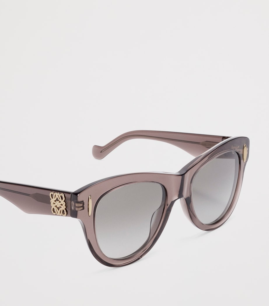 LOEWE Vintage Screen Sunglasses Transparent Brown Image 4