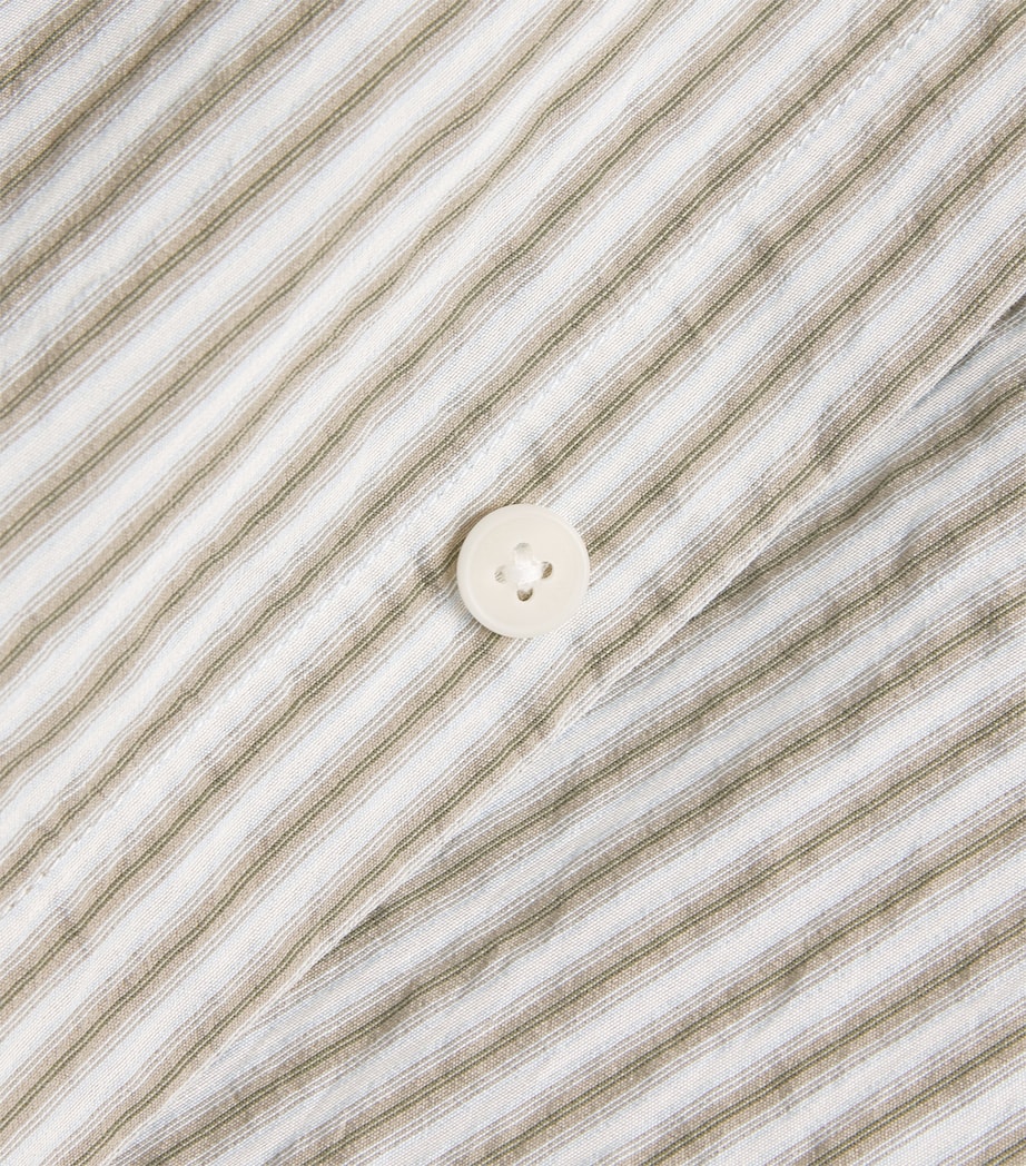 Stripe Shelly Shirt SAGE Image 5