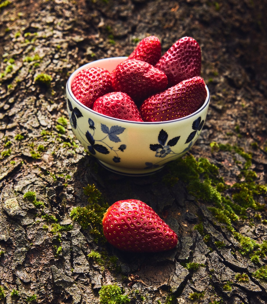 Wild Strawberry Inky Blue Bowl (11cm) MULTI Image 5