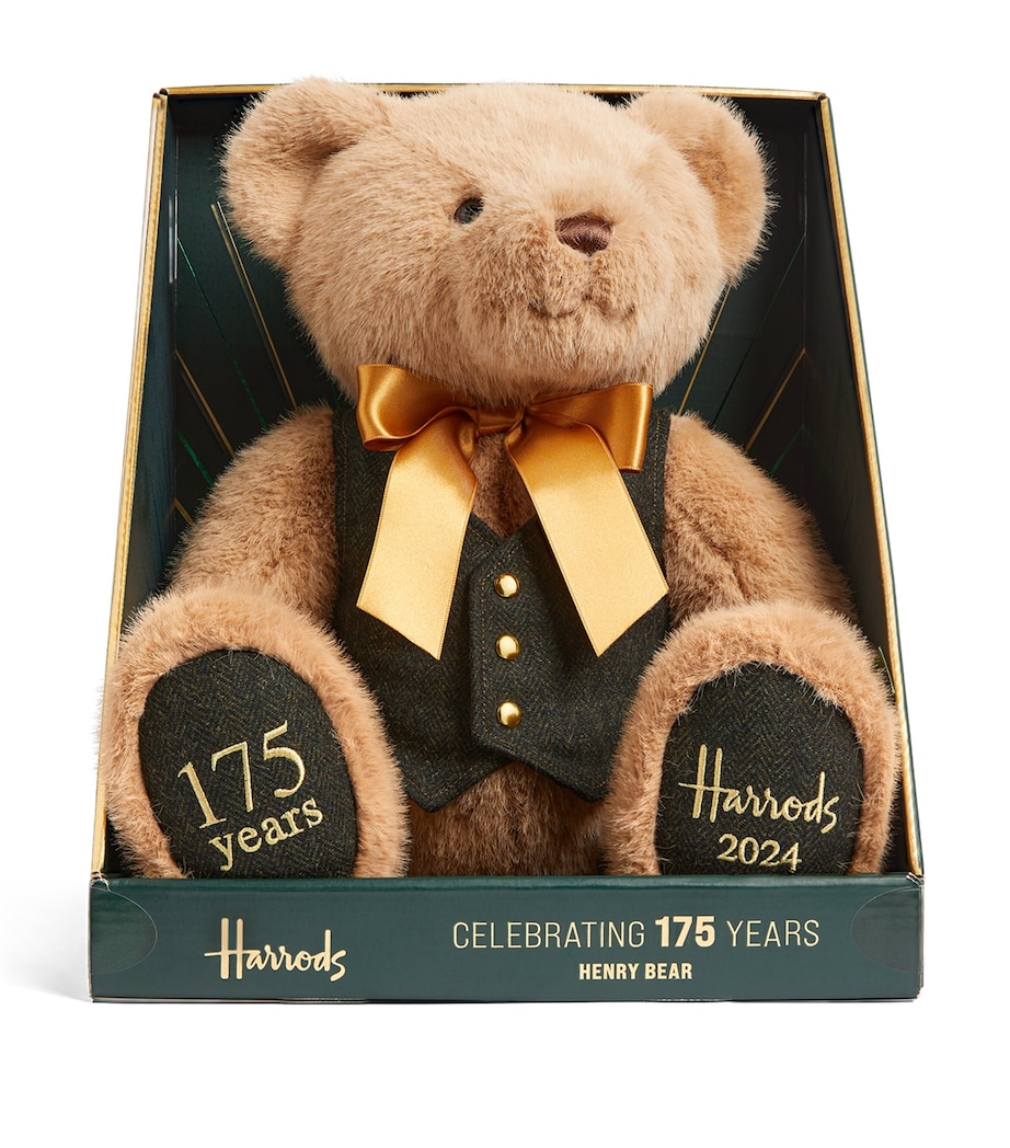 175 Anniversary Edition Bear 2024 Henry (33cm) BROWN Image 5