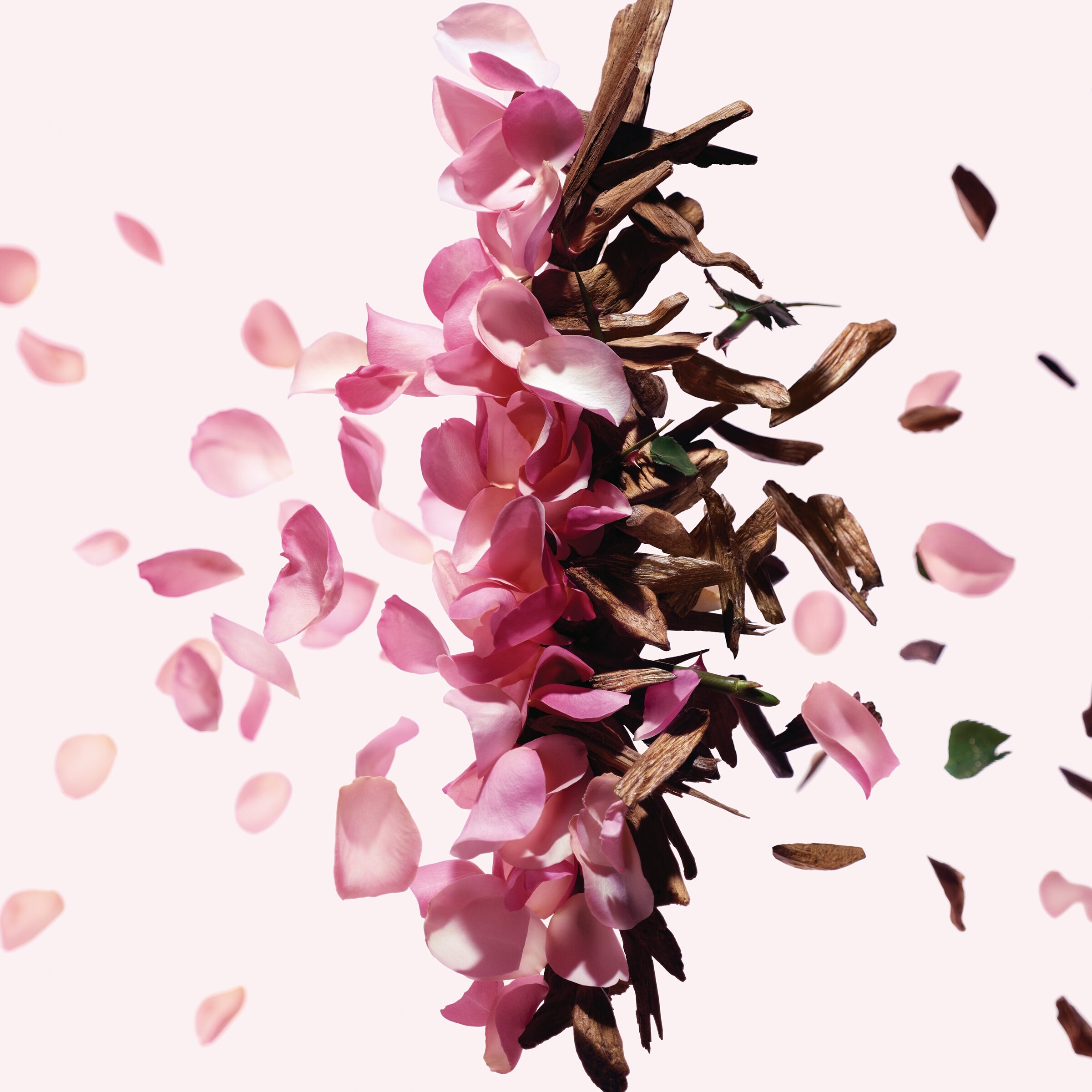 Irresistible Eau de Parfum (50ml) NO COLOUR Image 4