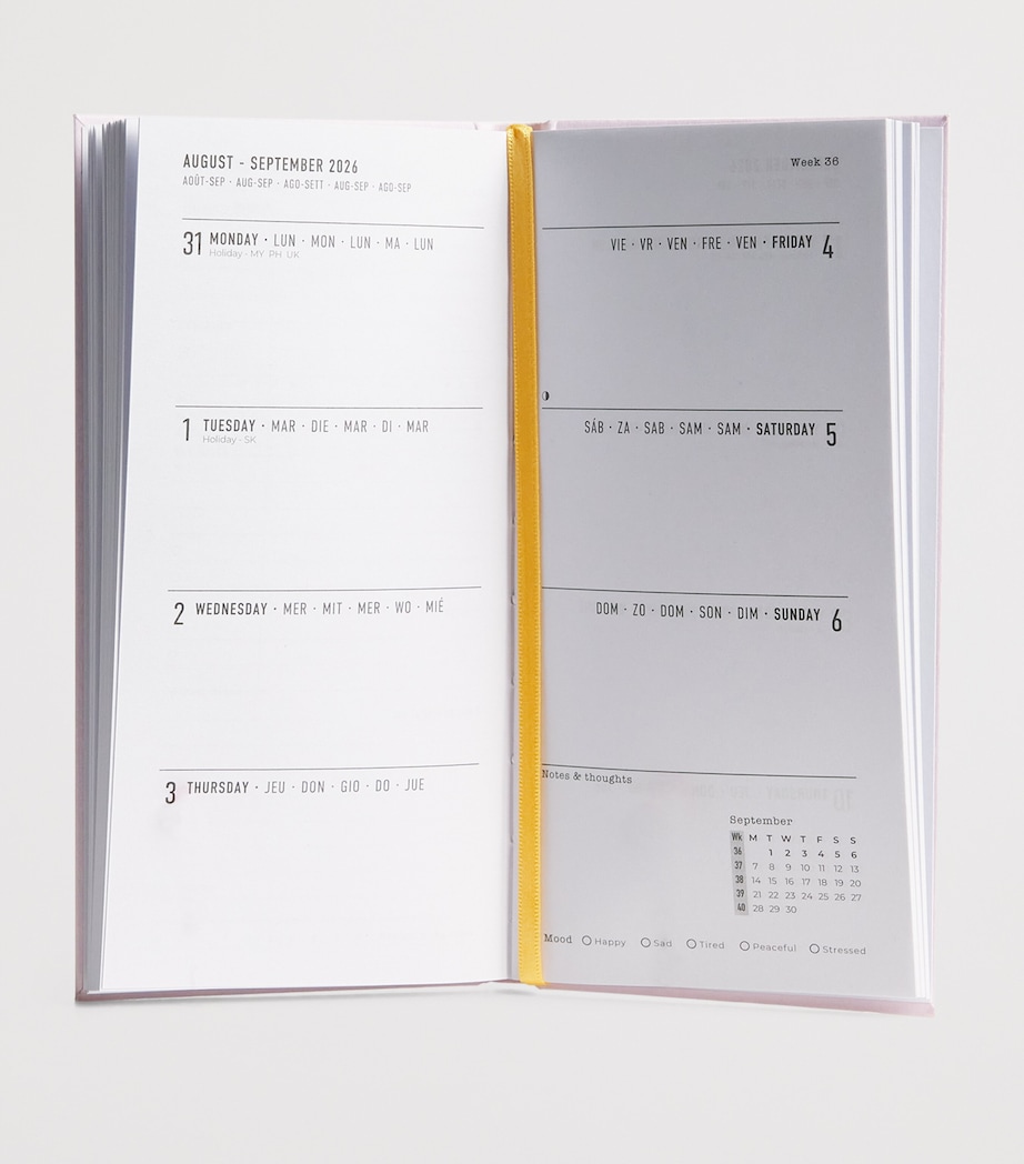 Classic Slim Diary 2026 PINK Image 2