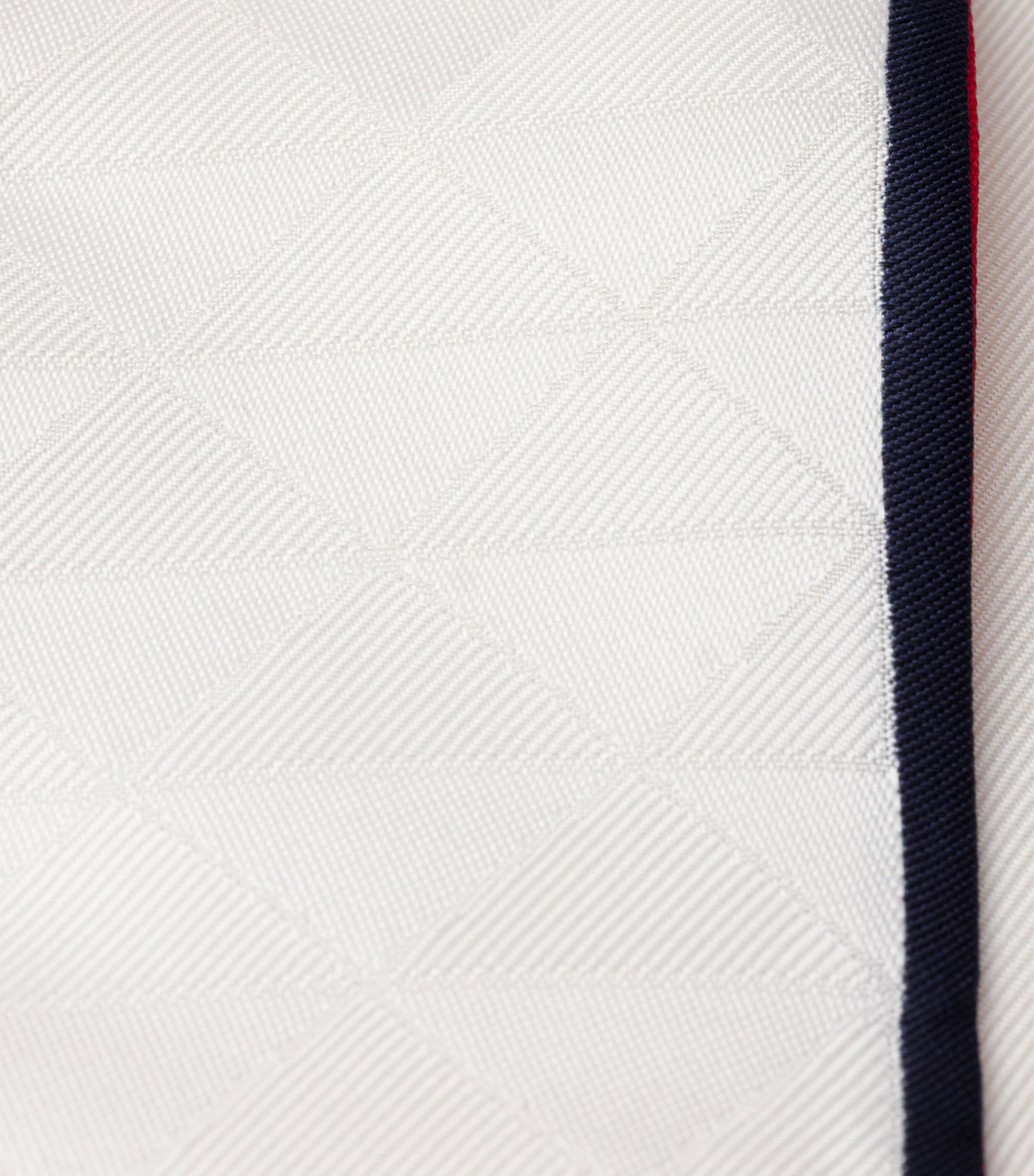 Silk Twill Skinny Scarf F061T Image 2